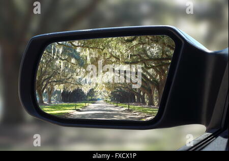 Voiture Rearview mirror dans la vie en vert forêt de chênes qui pendent en motif unique. Route de terre menant à une plantation house Banque D'Images