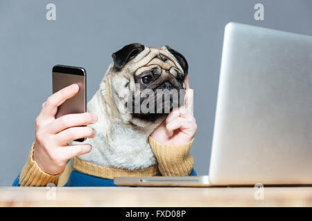 Avec l'homme chien pug réfléchie dans les mains à l'aide d'pull ordinateur portable et téléphone cellulaire sur fond gris Banque D'Images