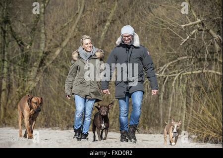 L'homme et de la femme avec 3 chiens Banque D'Images