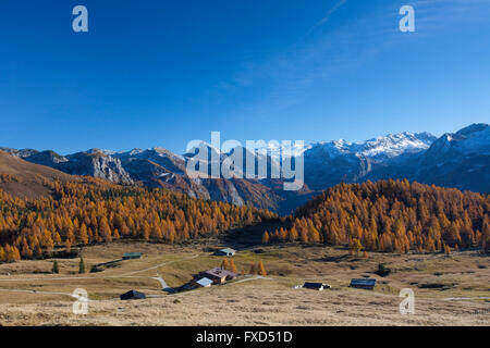 Gotzenalm dans le Berchtesgadener Alpen en automne, le parc national de Berchtesgaden, en Bavière, Allemagne Banque D'Images