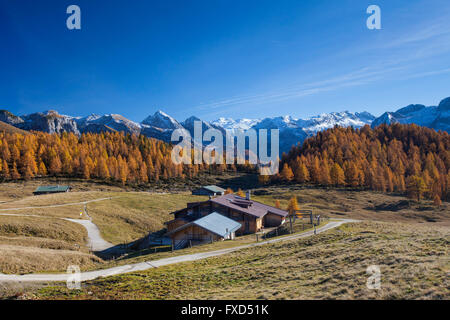 Gotzenalm dans le Berchtesgadener Alpen en automne, le parc national de Berchtesgaden, en Bavière, Allemagne Banque D'Images