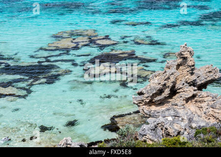 L'île Rottnest (Wadjemup) une île au large de la côte ouest de l'Australie 18k à l'ouest de Freemantle Banque D'Images