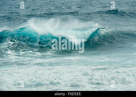 Déferlement des vagues, l'île Rottnest (Wadjemup) une île au large de la côte ouest de l'Australie 18k à l'ouest de Freemantle Banque D'Images