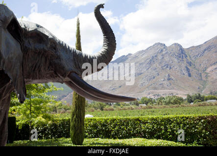 Grand Provence Wine Estate en Franschhoek à Western Cape - Afrique du Sud Banque D'Images