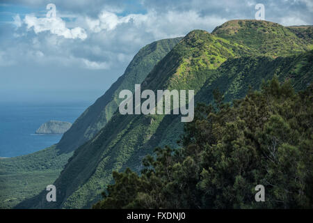 USA, Hawaii, Molokai, la péninsule de Kalaupapa Banque D'Images