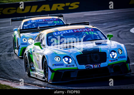 Février 07, 2015 : pas de 10 l'équipe de Bentley M-Sport - Bentley Continental GT3 conduit par Steven Kane (GBR) / Guy Smith (GBR) / Matt Bell (GBR) et n° 31 de l'équipe de Bentley M-Sport - Bentley Continental GT3 entraînée par Andy Souceck (ESP) / Maxime Soulet (BEL) / David Russell pendant la Liqui-Moly 12 heures de Bathurst au Mount Panorama Circuit dans le NSW, Australie Sydney, Australie. 07 Février, 2016. © Hugh Peterswald/Alamy Live News Banque D'Images