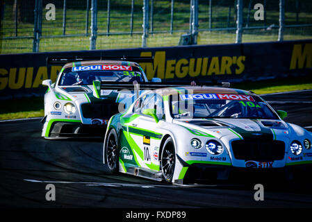 Février 07, 2015 : pas de 10 l'équipe de Bentley M-Sport - Bentley Continental GT3 conduit par Steven Kane (GBR) / Guy Smith (GBR) / Matt Bell (GBR) et n° 31 de l'équipe de Bentley M-Sport - Bentley Continental GT3 entraînée par Andy Souceck (ESP) / Maxime Soulet (BEL) / David Russell pendant la Liqui-Moly 12 heures de Bathurst au Mount Panorama Circuit dans le NSW, Australie Sydney, Australie. 07 Février, 2016. © Hugh Peterswald/Alamy Live News Banque D'Images