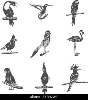 Oiseau Noir Icons Set Illustration de Vecteur