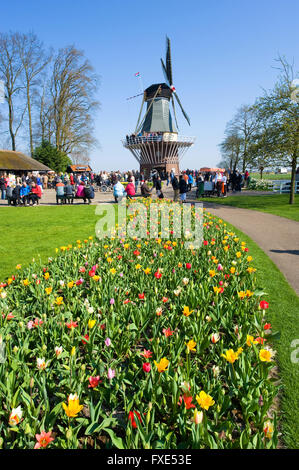 Les touristes visitent 'Keukenhof' au printemps. C'est un jardin de fleurs populaires avec plus d'un million de visiteurs par an. Banque D'Images