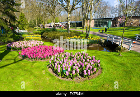 Le Keukenhof est un jardin de fleurs populaires qui est visité par un million de touristes de partout dans le monde. Banque D'Images