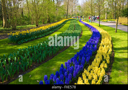 Le Keukenhof est un jardin de fleurs populaires qui est visité par un million de touristes de partout dans le monde. Banque D'Images