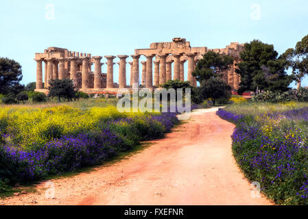 Selinunte, Castelvetrano, Sicile, Italie Banque D'Images