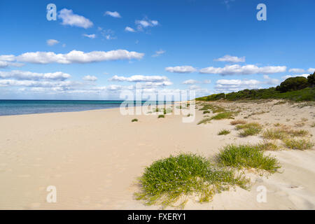 Eagle Bay en Australie de l'ouest Banque D'Images