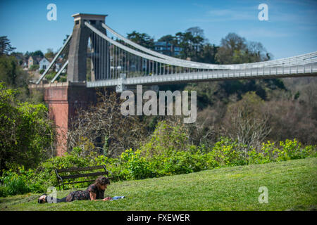 Une femme lit un magazine alors qu'elle aime le soleil et les températures chaudes à côté du pont suspendu de Clifton à Bristol. Banque D'Images