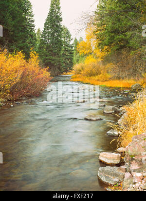 couleurs d'automne le long du ruisseau placide sous le lac placide dans le bassin versant de la rivière clearwater près du lac seeley, montana Banque D'Images