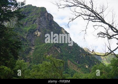 Ganzi, Ganzi, CHN. 4 Août, 2015. Ganzi, CHINE - 4 août 2015 : (usage éditorial uniquement. Chine OUT) Hailuogou (Conch Gully) Glacier National Forest Park est situé sur la côte orientale de Gonggar Mountain dans le comté de Luding de la préfecture autonome tibétaine de Garze, province du Sichuan. C'est 319 km de Chengdu, capitale de la province du Sichuan et 105 km de Kangding, où les organes administratifs de la préfecture autonome Garze sont situés. Glaciers dans Hailuogou sont typiques des glaciers maritimes modernes, qui sont rarement trouvés dans des endroits à faible latitude ou à basse altitude. Son point le plus bas est sur Banque D'Images