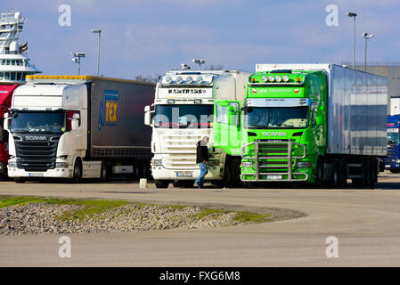 Karlskrona, Suède - 7 Avril, 2016 : Rangée de camions garés en attente de lecteur sur le ferry dans le terminal dans le port. Driver Banque D'Images