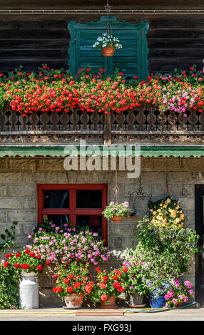 Ancienne ferme, balcon avec des géraniums (Pelargonium spec.), boîtes à fleurs, Piesenkam, Isarwinkel, Haute-Bavière, Bavière, Allemagne Banque D'Images