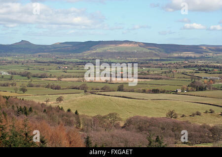 Roseberry Topping et Landes de banque en argile Banque D'Images