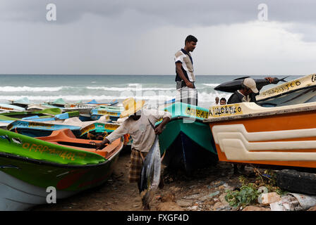 SRI LANKA Trincomalee , pêcheur à la plage / SRI LANKA Trincomalee, Fischer am Strand Banque D'Images