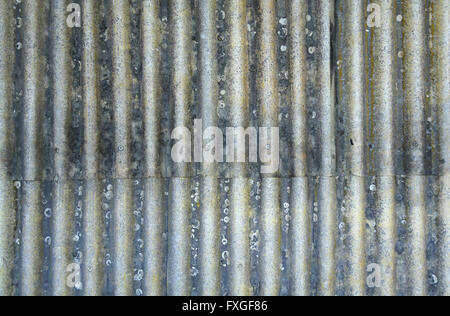 Feuilles de métal ondulé rouillée avec rivets Banque D'Images