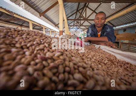 Le Mozambique, l'Afrique, un homme vend des haricots au marché de la ville. Banque D'Images