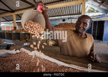 Le Mozambique, l'Afrique, un homme de vendre au marché de haricots dans la ville. Banque D'Images