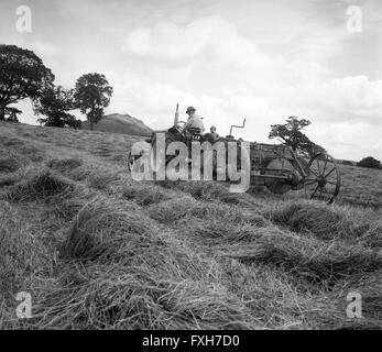 Près de la fenaison à Garmston Wrekin dans Shropshire 1960 Banque D'Images