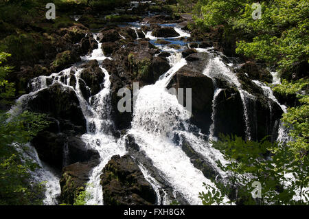 Swallow Falls. Betws-Y-coed. Chute d'eau. Pays de Galles Banque D'Images