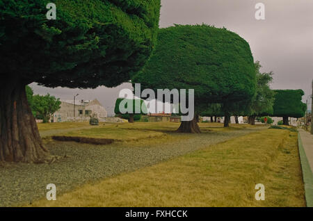 Dans le parc de Punta Arenas, Chili Banque D'Images