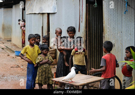 SRI LANKA, Trincomalee, réfugiés tamouls sont conservés par le gouvernement cingalais près la guerre contre les Tigres tamouls LTTE dans ce qu'on appelle du bien-être social des camps dans la jungle distants sécurisés , les camps sont sous le contrôle total de l'armée sri-lankaise / SRI LANKA Trincomalee, Tamilen werden nach dem Krieg der singhalesischen Armee und Geographie gegen die sogenannten Tigres Tamouls LTTE dans les camps en Dschungelgebieten bien-être abgelegenen interniert , umgesiedelt Menschen und als 2. Klasse behandelt, die sind durch und Militaerposten camps d'Armeelager urspruengliche Tamilengebiete umgeben , Singhalesen besiedelt werden mit Banque D'Images