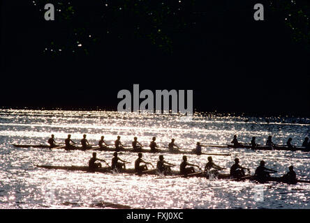 Aviron rameurs dans la tête de la Régate Schuylkill ; Schuykill River ; Philadelphia ; New York ; États-Unis d'Amérique Banque D'Images