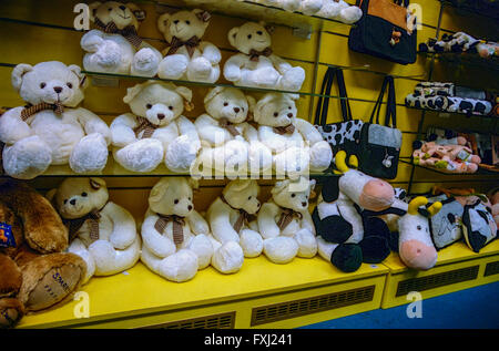 Stocker les jouets pour enfants, magasin d'ours en peluche étagère Prague, République Tchèque Banque D'Images