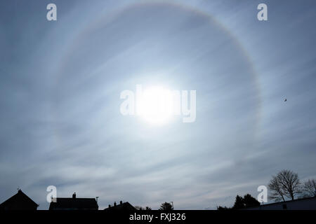 22° un halo autour du soleil arc-en-ciel circulaire causé par la diffraction de la lumière à travers les cristaux de glace dans l'atmosphère. Sun Chien. Banque D'Images