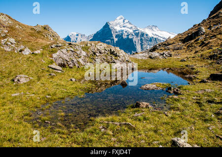 Les montagnes suisses se reflétant dans un lac Banque D'Images