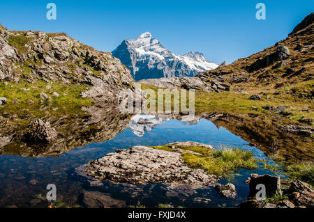 Les montagnes suisses se reflétant dans un lac Banque D'Images