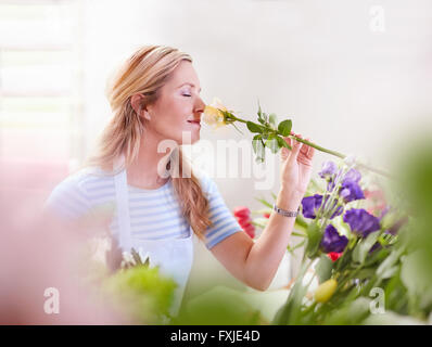 L'odeur de rose fleuriste magasin de fleurs Banque D'Images