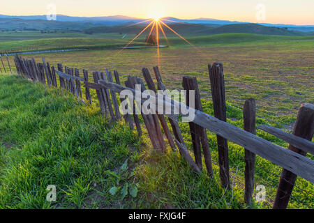 Sunstar rural avec ligne de clôture Banque D'Images