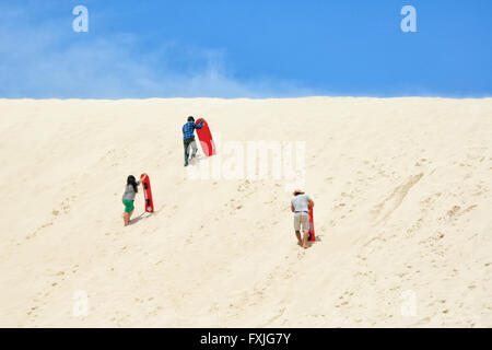 Les gens Sandboarding, little Sahara, Kangaroo Island, Australie du Sud, SA, Australie Banque D'Images