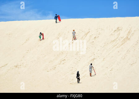 Les gens Sandboarding, little Sahara, Kangaroo Island, Australie du Sud, SA, Australie Banque D'Images