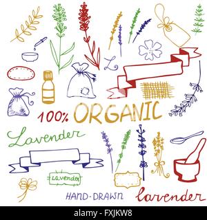 Jeu de lavande à la main Illustration de Vecteur