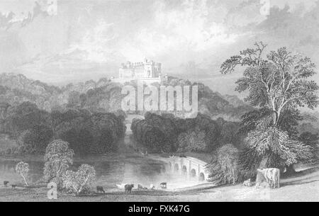 Château de Belvoir : Leicestershire : vaches Allom, pont ancien 1836 Banque D'Images