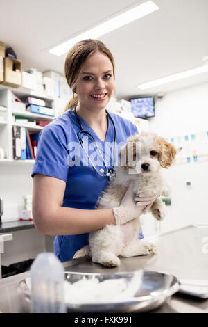 Portrait of vet holding dog Banque D'Images