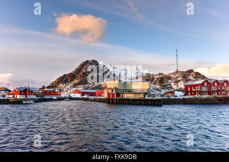 Le saharien dans les îles Lofoten, Norvège en hiver. Banque D'Images