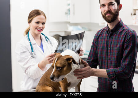 Portrait of vet avec x-ray et propriétaire de chien Banque D'Images