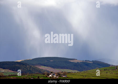 Cambrian Mountains, Aberystwyth, Pays de Galles, Royaume-Uni. 16 avril, 2016. UK - malgré le brillant soleil du printemps à l'avant-plan, les averses hivernales tombent sur les monts Cambriens près d'Aberystwyth, Pays de Galles, UK - John Gilbey/Alamy Live News - 16-Avril-2016 Crédit : John Gilbey/Alamy Live News Banque D'Images