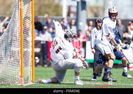 Domaine Stevenson-Pincince. Apr 16, 2016. RI, USA ; gardien de l'ours brun Jack Kelly (91) fait une sauvegarde au cours de la première moitié d'une partie de crosse NCAA entre Yale bulldogs et les ours bruns à Stevenson-Pincince Champ. Brown défait 14-12 Yale. M. Anthony Nesmith/Cal Sport Media/Alamy Live News Banque D'Images