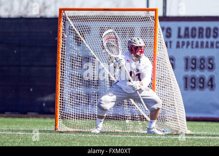 Domaine Stevenson-Pincince. Apr 16, 2016. RI, USA ; gardien de l'ours brun Jack Kelly (91) NCAA en action pendant la partie de crosse entre les Bulldogs de Yale et un ours brun à Stevenson-Pincince Champ. Brown défait 14-12 Yale. M. Anthony Nesmith/Cal Sport Media/Alamy Live News Banque D'Images