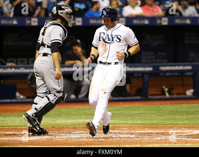 Saint Petersburg, Florida, USA. Apr 16, 2016. Vous VRAGOVIC | fois.Rays de Tampa Bay de troisième but Evan Longoria (3) scores sur un simple par Rays de Tampa Bay droit fielder Steven Souza Jr. (20) dans la quatrième manche du match entre les Rays de Tampa Bay et les White Sox de Chicago au Tropicana Field à Saint-Pétersbourg, en Floride, le samedi 16 avril, 2016. © Vous Vragovic/Tampa Bay Times/ZUMA/Alamy Fil Live News Banque D'Images