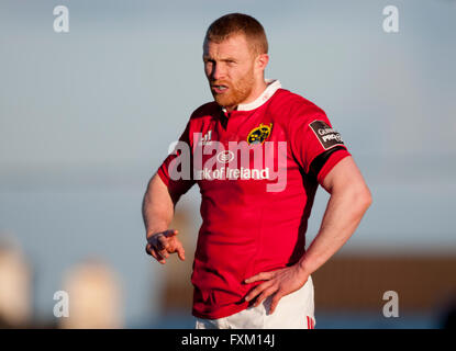 Galway, Irlande. Apr 16, 2016. Keith Earls de Munster en photo au cours de la Guinness PRO12 match de rugby entre Connacht Rugby et de Munster Rugby au Sportsground à Galway, Irlande, 16 avril 2016. Crédit : Andrew Surma/Alamy Live News Banque D'Images